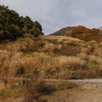 秋の磐梯山を望む翁島登山口の草原とススキの風景の写真