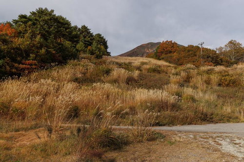 秋の磐梯山を望む翁島登山口の草原とススキの風景