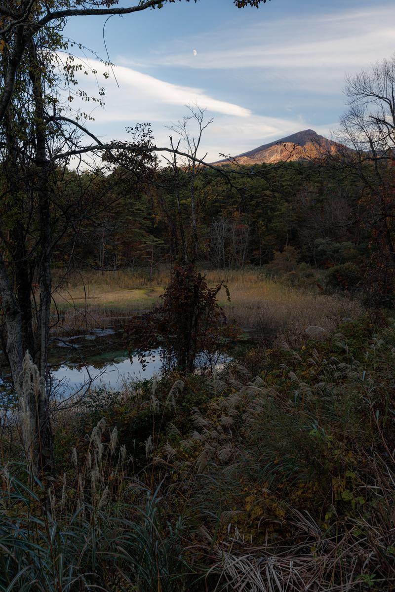 磐梯山を背景に、枯れた野草と池の水面がある秋の登山口風景