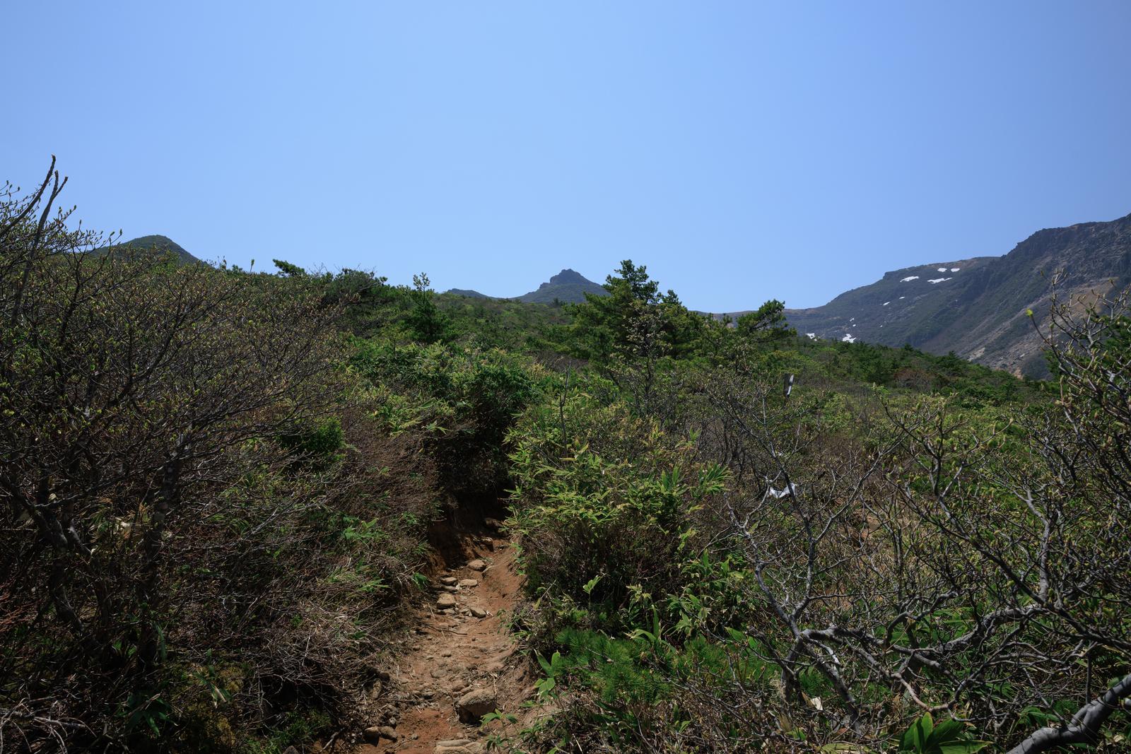 安達太良山の勢至平を通る新緑の登山道が青空の下に続く