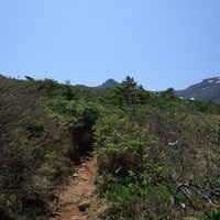安達太良山の勢至平で見る新緑の登山道を歩くの写真