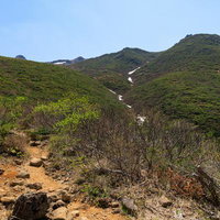 安達太良山の勢至平へ続く登山道の新緑と雪渓の写真