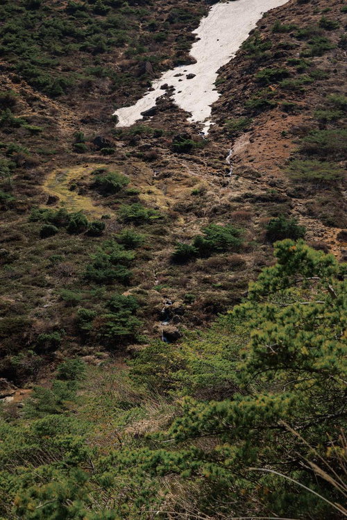 安達太良山勢至平の雪融けによる沢の流れと春の山肌