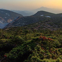 猪苗代町鉄山の避難小屋周辺、夕焼けに染まる新緑の写真