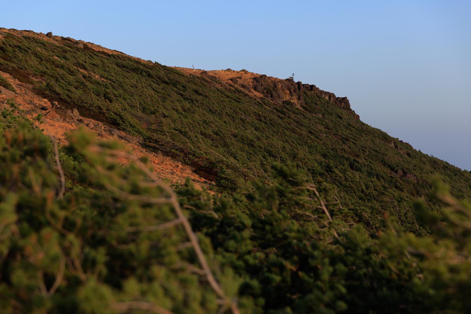 安達太良山の鉄山の斜面に広がる濃い新緑と岩肌