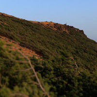 安達太良山の鉄山で見る新緑の斜面と岩肌の自然風景の写真