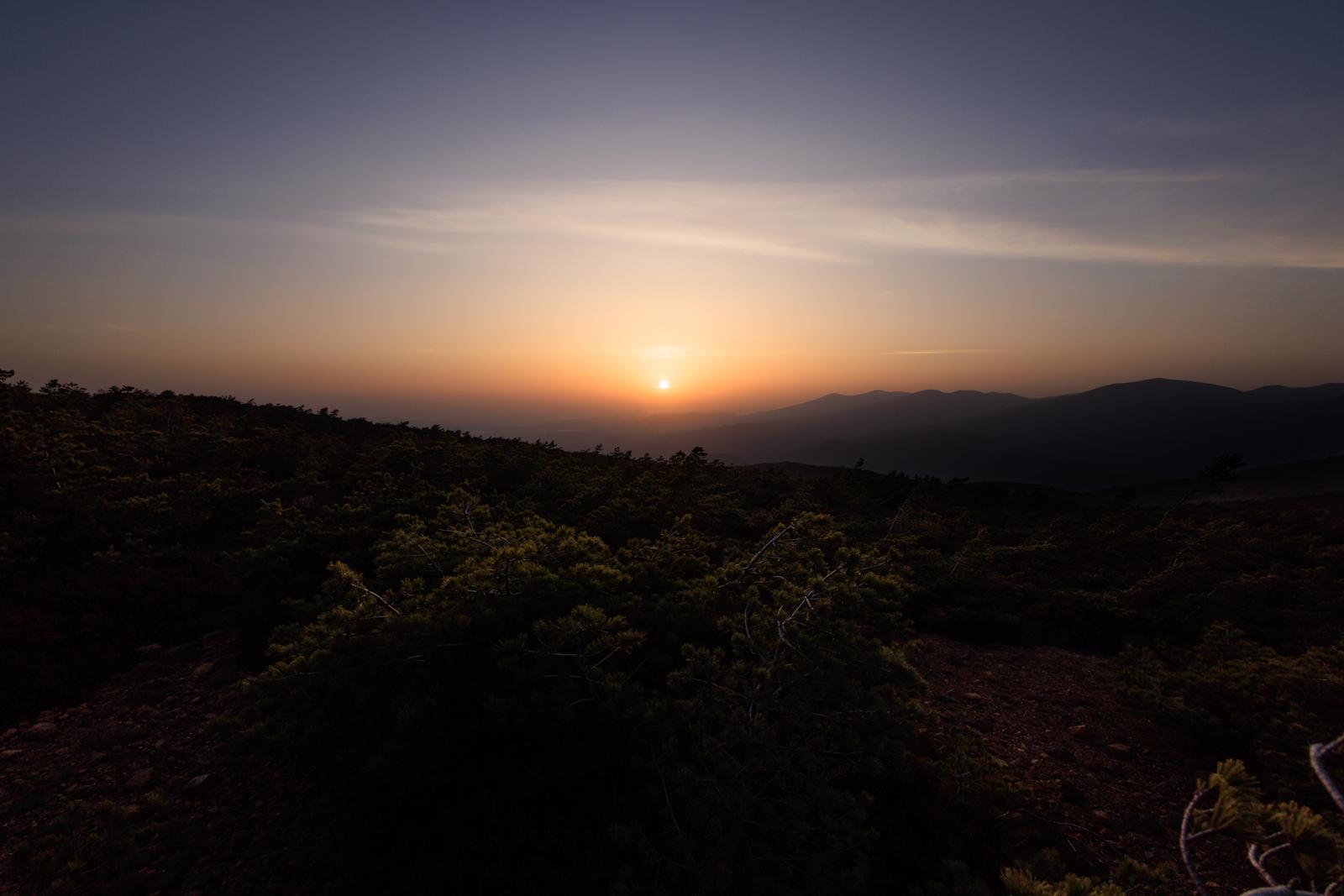 猪苗代町の鉄山から見える、オレンジ色に染まる夕焼けと手前の雑木林のシルエット