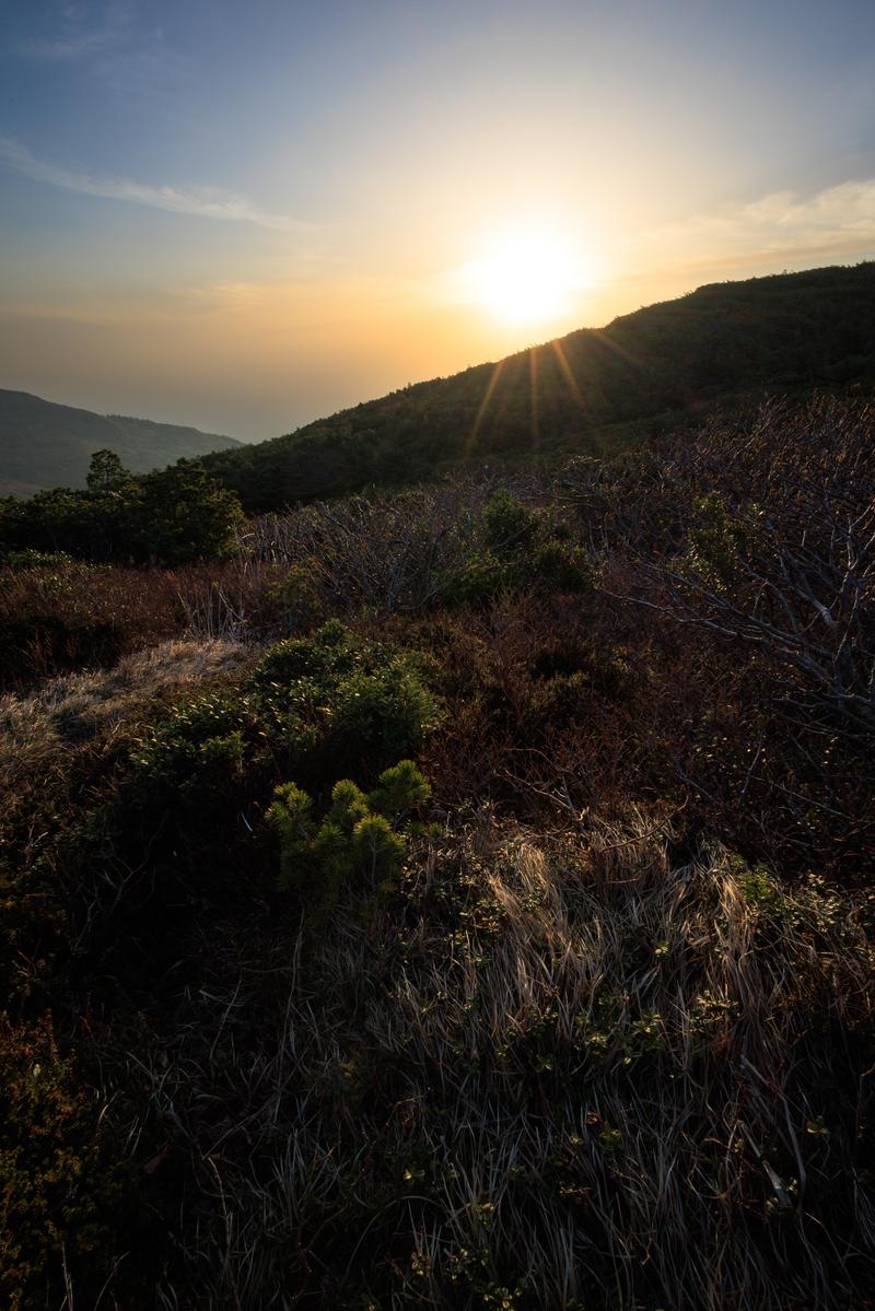 猪苗代町の鉄山避難小屋周辺で新緑の中に沈む夕日
