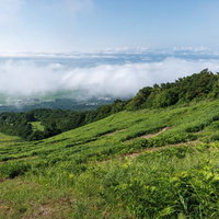 磐梯山猪苗代登山口から眼下に広がる雲海と緑の谷の写真