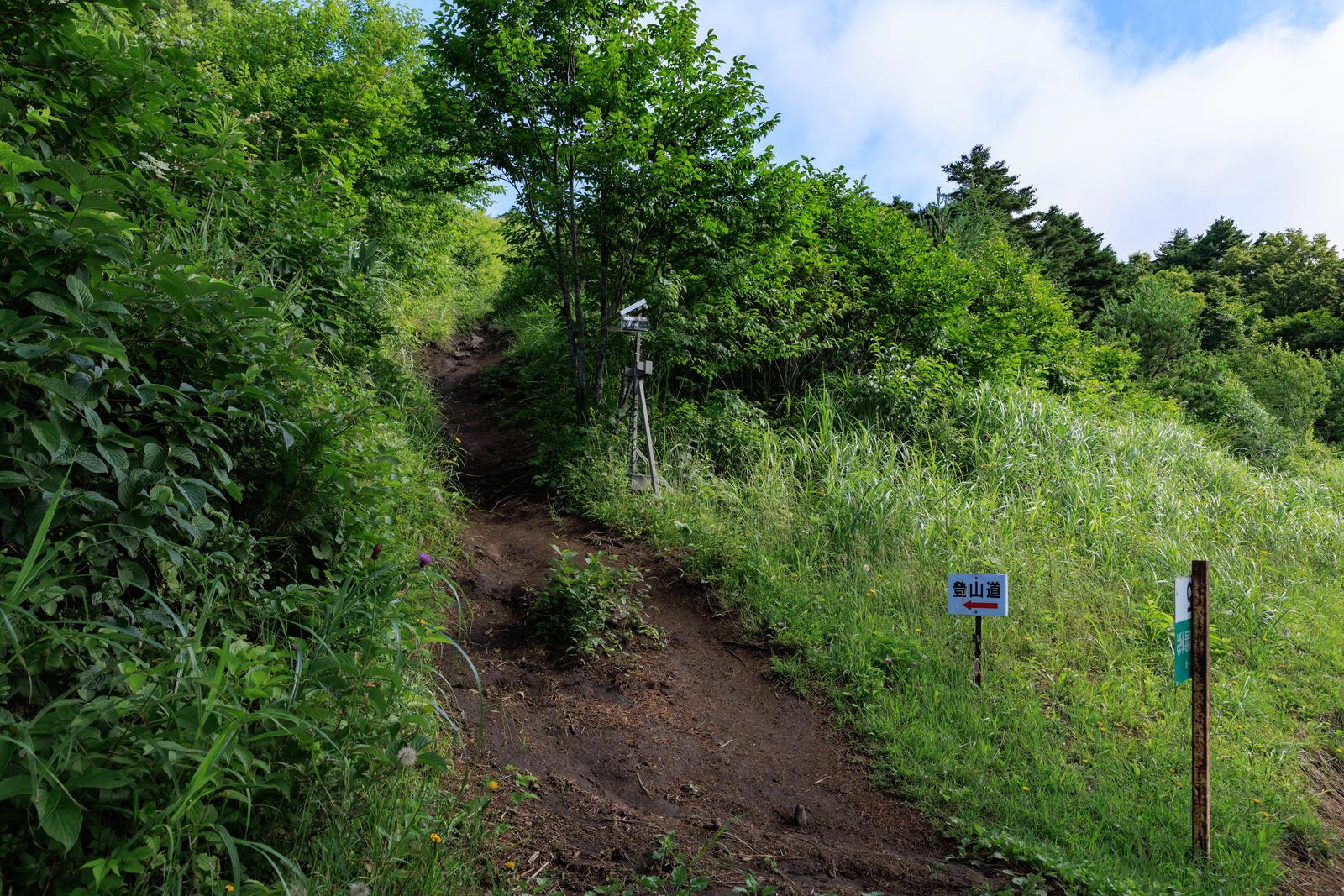 磐梯山の猪苗代登山口から続く、樹木に囲まれた緑の山道と登山標識