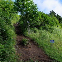 猪苗代登山口から始まる磐梯山の緑豊かな山道の写真