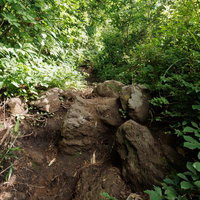 自然豊かな苗代登山口からの磐梯山登山道の風景の写真