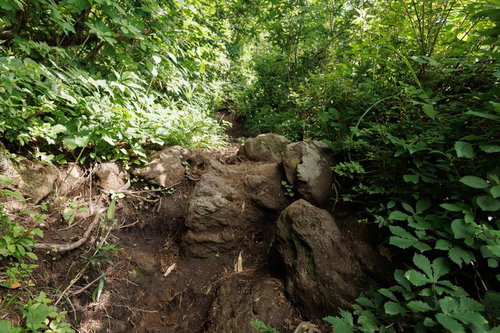自然豊かな苗代登山口からの磐梯山登山道の風景