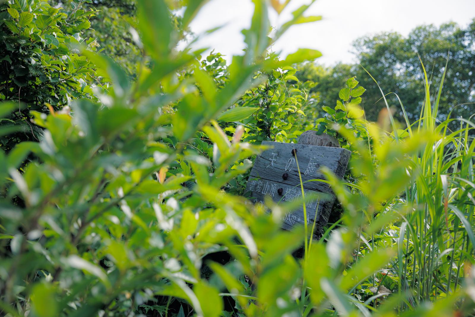 磐梯山の山頂標が草木に囲まれている様子