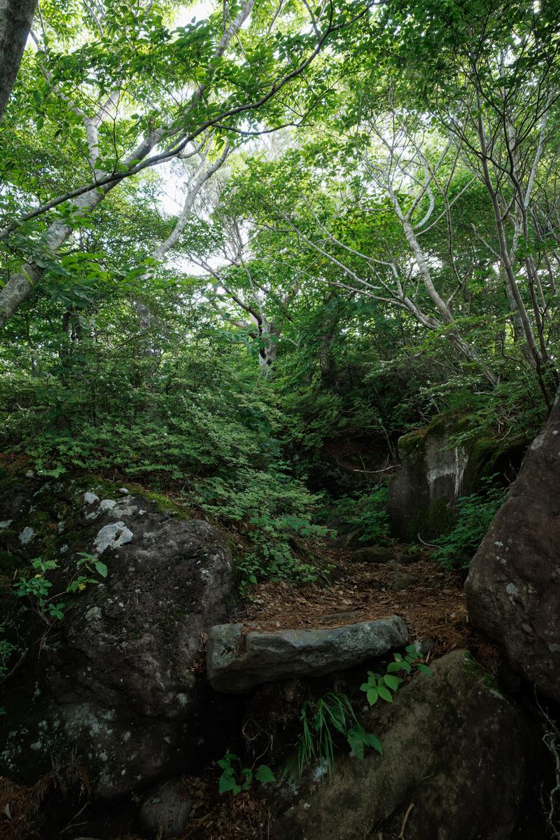 猪苗代町の磐梯山登山口から続く樹木に覆われた岩間の登山道