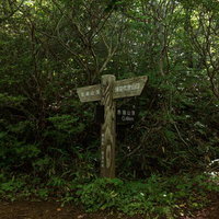 磐梯山登山道の緑に佇む木製指導標と猪苗代登山口への道標の写真