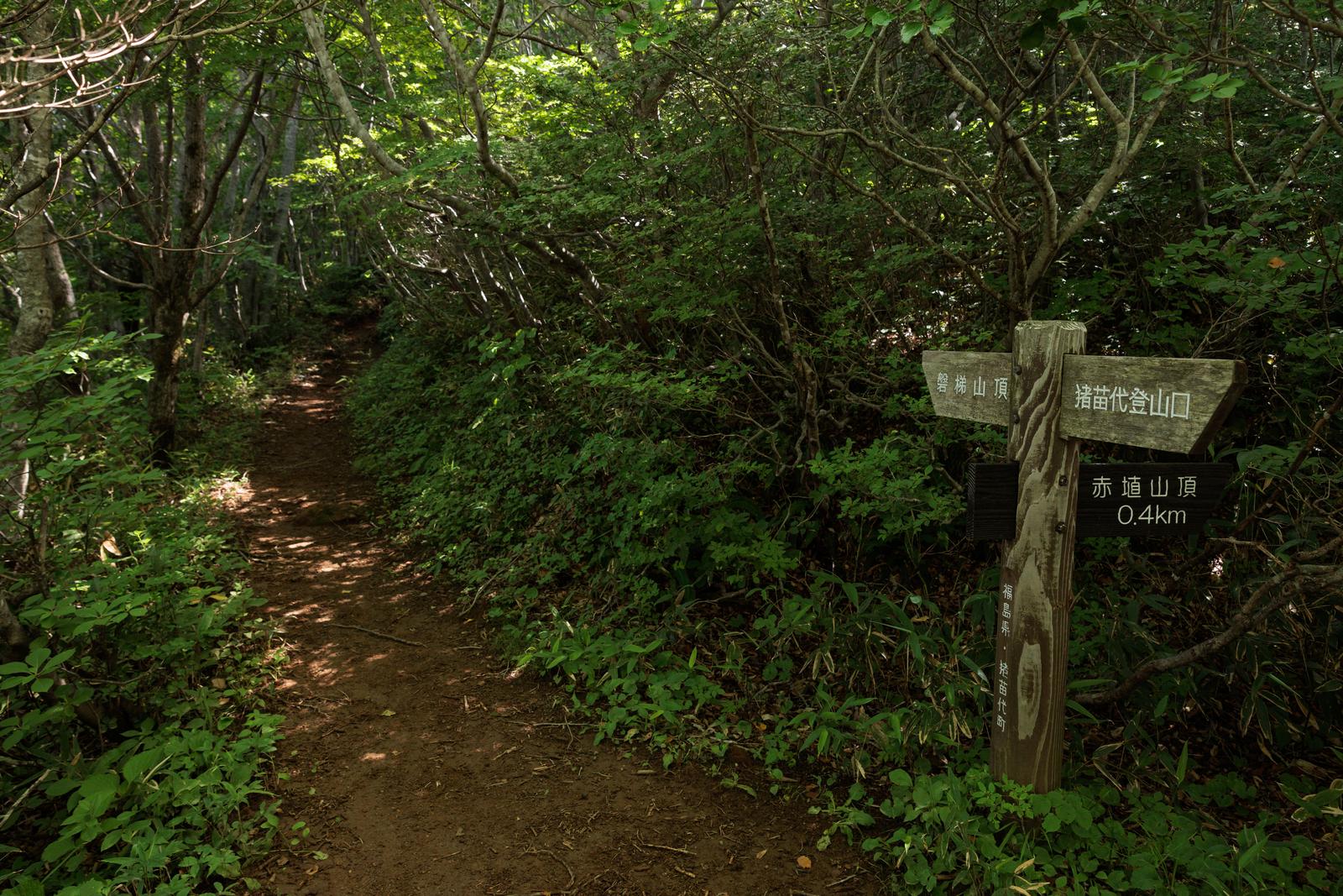樹木に囲まれた登山道脇に立つ木製の指導標