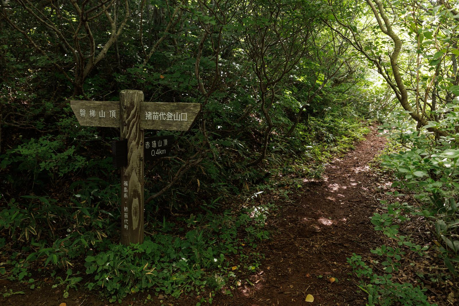 磐梯山の登山道入口に立つ木製指導標と緑の樹林に続く山道