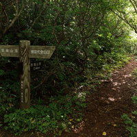 磐梯山猪苗代登山口の指導標が示す緑深い登山道の写真