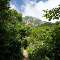 磐梯山を見上げる猪苗代町の登山道と青空の風景の写真