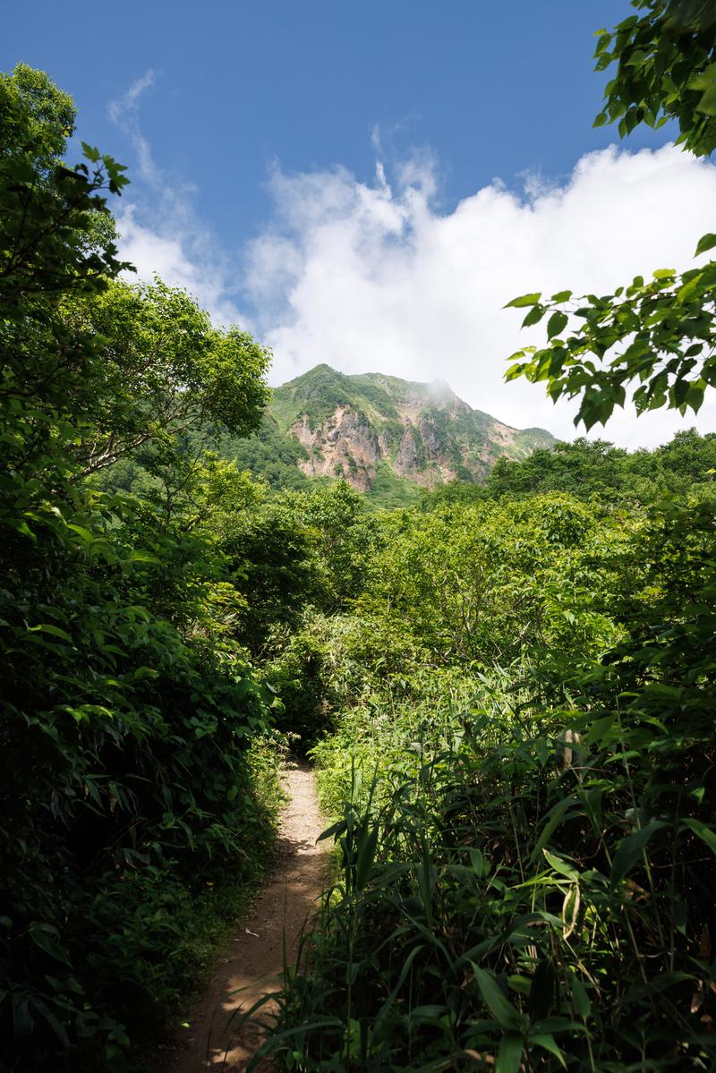 磐梯山を背景に緑の樹木に囲まれた登山道