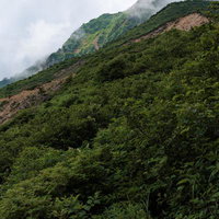 磐梯山の山肌を覆う緑と雲、猪苗代登山口からの眺望の写真
