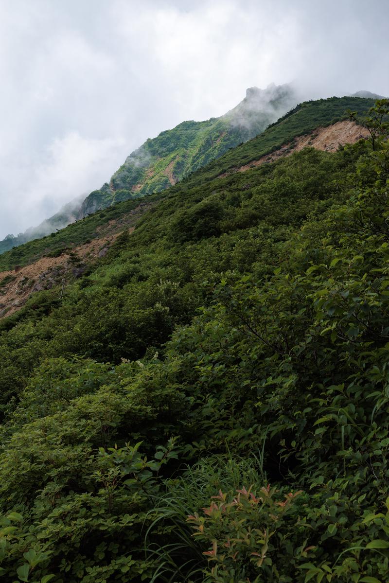 磐梯山の山肌を覆う緑の樹木と雲がかかった頂上