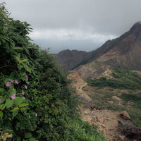 猪苗代町の登山道で咲くタカネナデシコと磐梯山の写真