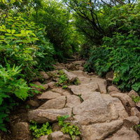 猪苗代登山口から磐梯山へ続く岩段の登山道の写真