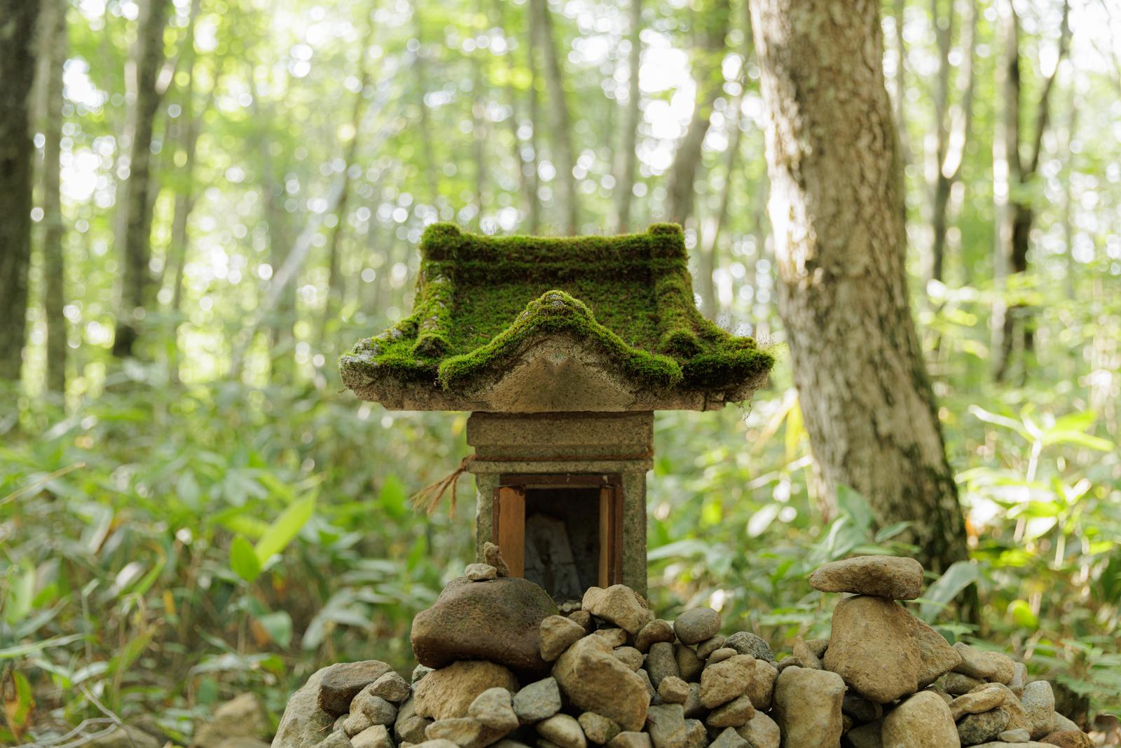 磐梯山の登山口にある苔が生える石造りの祠と積み石が、雑木林の中に立っている