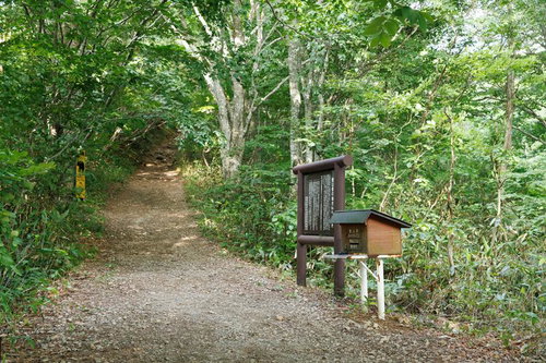 磐梯山・八方台登山口の緑豊かな林間登山道