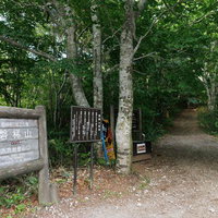 磐梯山の八方台登山道入口に立つ木製看板と樹木の写真
