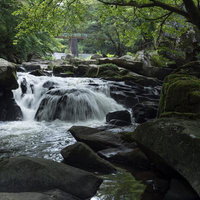 山鶏滝の渓流と苔むした岩場、平田村の自然の写真