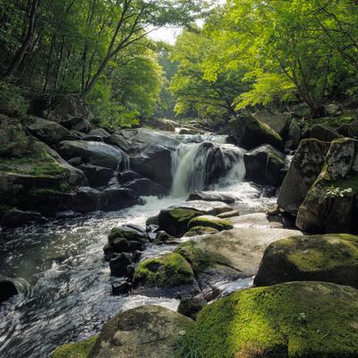 山鶏滝の渓流と苔むした岩場 福島県平田村の自然風景の写真
