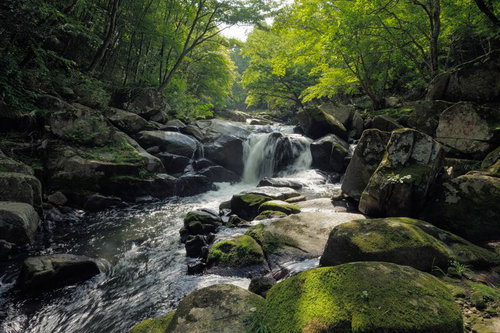 山鶏滝の渓流と苔むした岩場 福島県平田村の自然風景