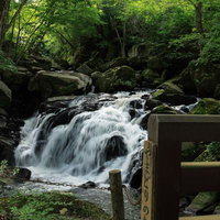 山鶏滝の渓流と苔むした岩場：福島県平田村の新緑の渓谷の写真
