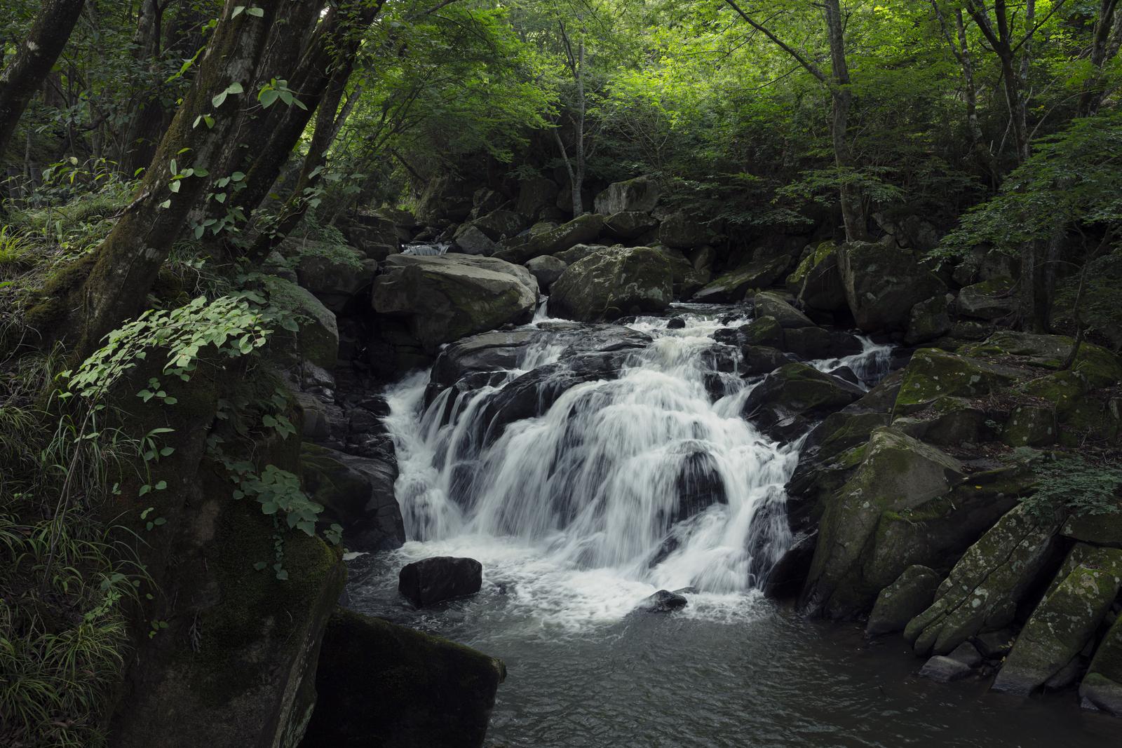 苔むした岩の間を流れる山鶏滝