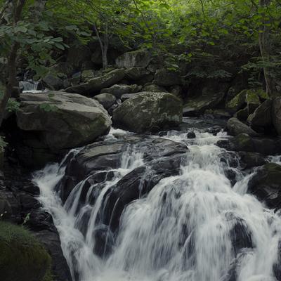 新緑に包まれた山鶏滝の渓流、苔むした岩と白く泡立つ水流の写真