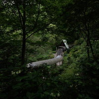 木々に囲まれたあぶくま洞の湾曲した通路と洞窟入口の写真