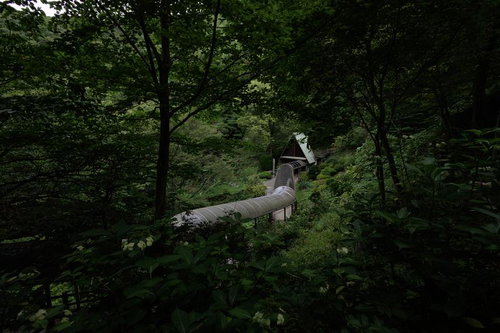 木々に囲まれたあぶくま洞の湾曲した通路と洞窟入口