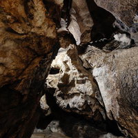 あぶくま洞の鍾乳洞内を進む狭い通路と白い鍾乳石の写真