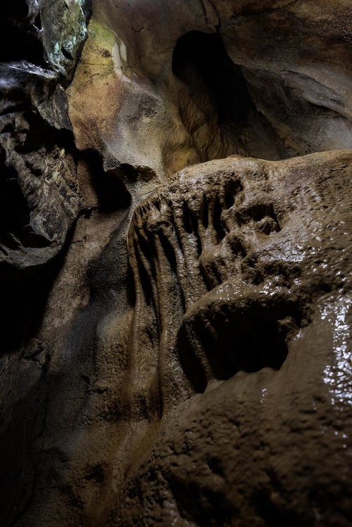 濡れた鍾乳石が織りなすあぶくま洞の洞内風景