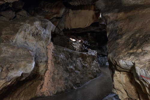 福島県あぶくま洞の濡れた洞内通路と鍾乳石の風景