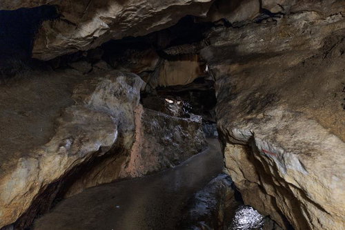 濡れた石床と鍾乳石が連なるあぶくま洞の通路