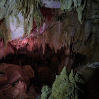 あぶくま洞の鍾乳石を照らす薄紫と緑のライトアップの写真