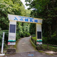 緑に囲まれた入水鍾乳洞の入口と通路、案内板と石畳の写真