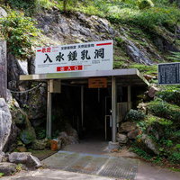 入水鍾乳洞の出入口から広がる岩壁と緑の通路の写真