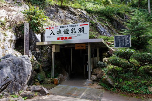 入水鍾乳洞の出入口から広がる岩壁と緑の通路