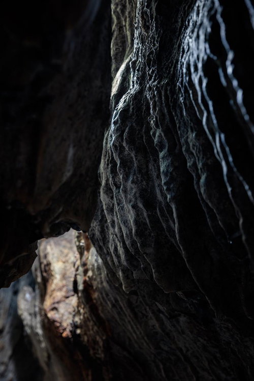 福島県田村市の入水鍾乳洞の洞内で地下水が浸透する岩肌