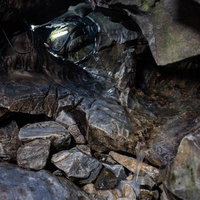 入水鍾乳洞の岩肌に流れる地下水と洞内の風景の写真